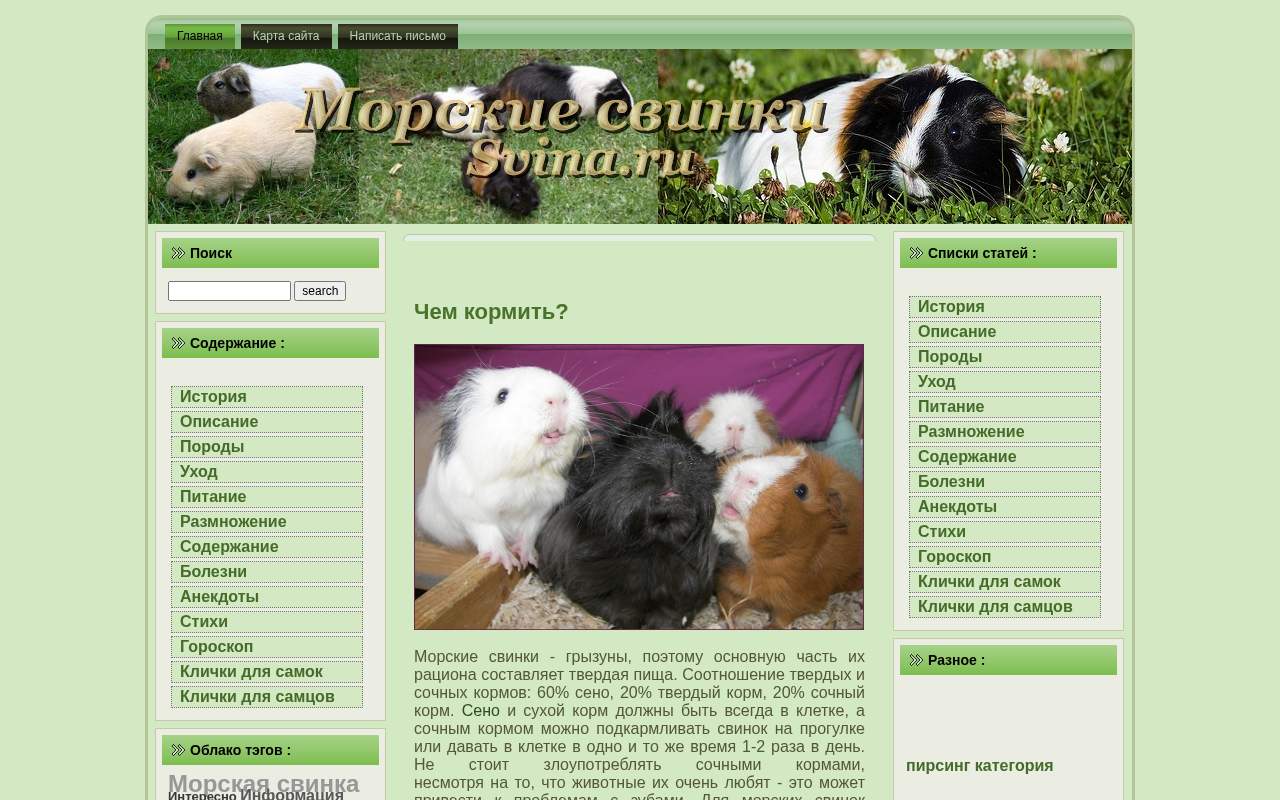 Главная страница: Морские свинки Svina.ru