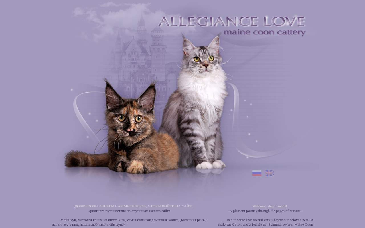Главная страница: ALLEGIANCE LOVE Maine Coon cattery