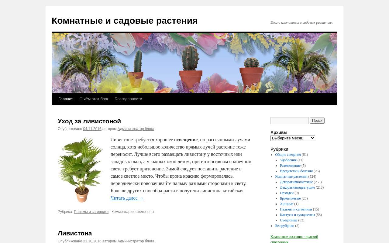 Главная страница: Блог о комнатных растениях