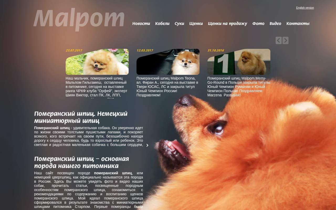 Главная страница: Питомник померанских шпицев Malpom