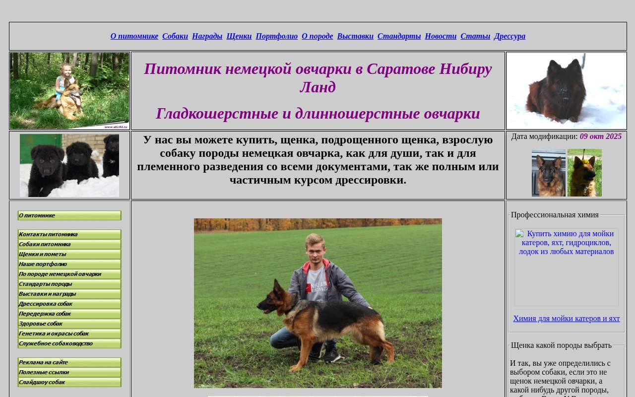 Главная страница: Продажа щенков, взрослых собак немецкой овчарки