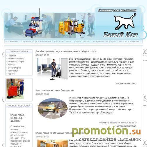 Архивное изображение: Белый кот - уборочный инвентарь