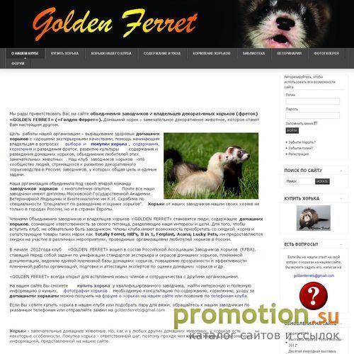 Архивное изображение: Клуб заводчиков хорьков Golden Ferret