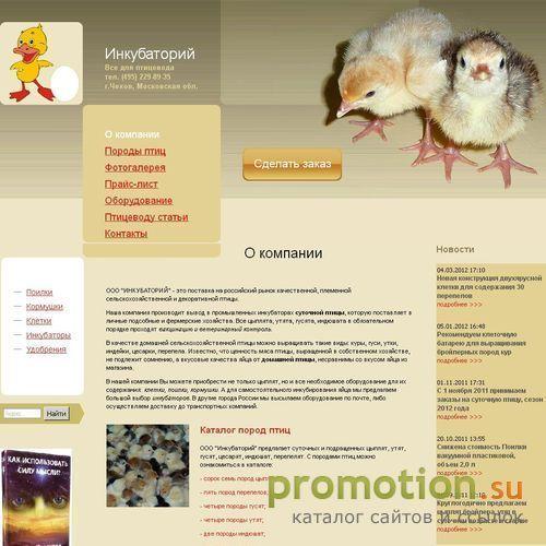 Архивное изображение: Сельскохозяйственная и декоративная птица
