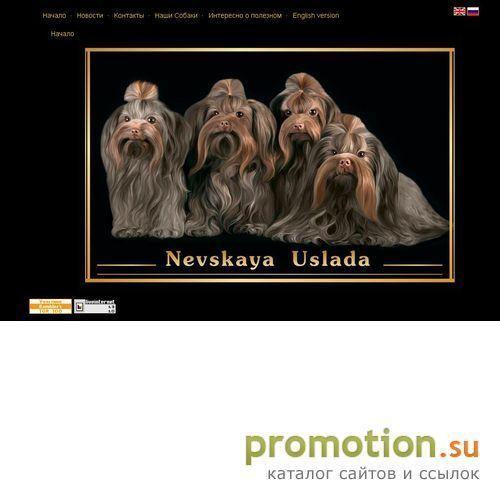Архивное изображение: Rusbolonka.com - купить щенка цветной болонки