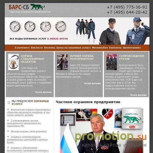 Архивное изображение: Телохранитель, проектирование: от ЧОП Барс-СБ