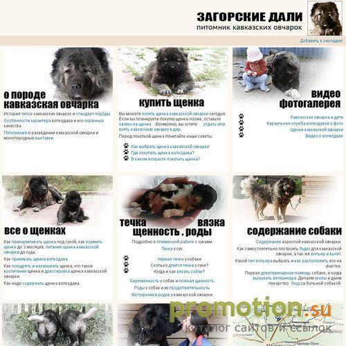 Архивное изображение: Питомник кавказских овчарок "Загорские дали"