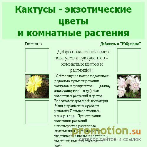 Архивное изображение: KAKTEEN - Кактусы в вашем доме