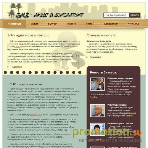 Архивное изображение: Аудиторская фирма «БНК»