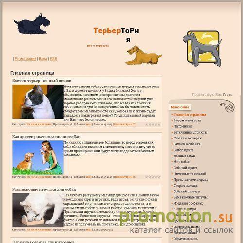 Архивное изображение: Терьертория