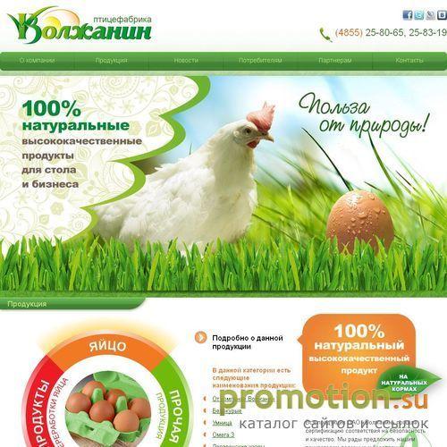 Архивное изображение: ОАО Волжанин, производство яйце- и мясопродуктов