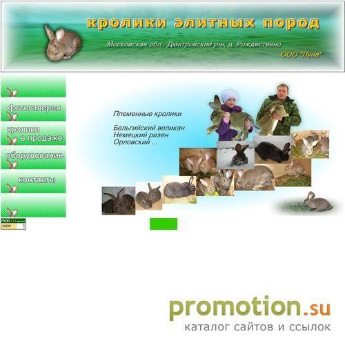 Архивное изображение: Элитные кролики: домашние животные
