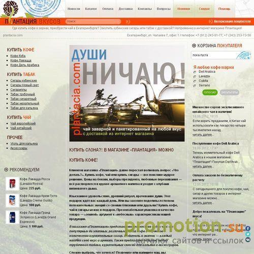 Архивное изображение: Цветы в розницу по оптовым ценам