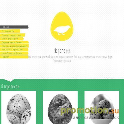 Архивное изображение: Ячмень фуражный: индивидуальный подход в срок!