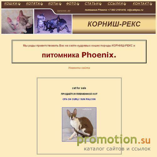 Архивное изображение: Маленькие собаки на Cat4you.ru