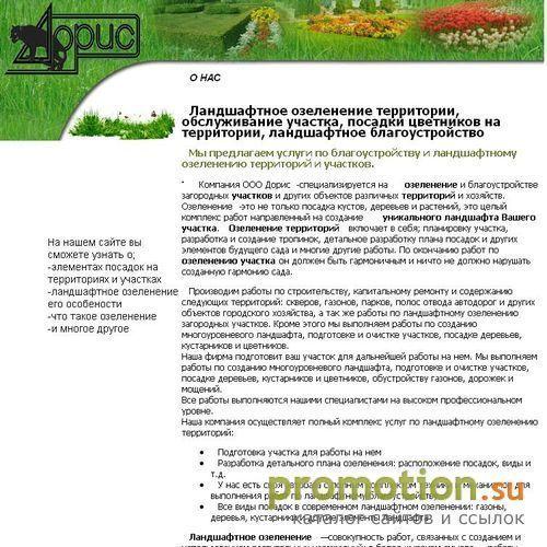 Архивное изображение: Озеленение участка