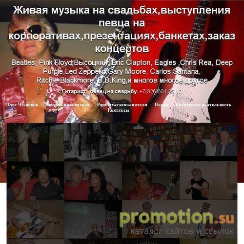 Архивное изображение: Гитарист Олег Чесноков
