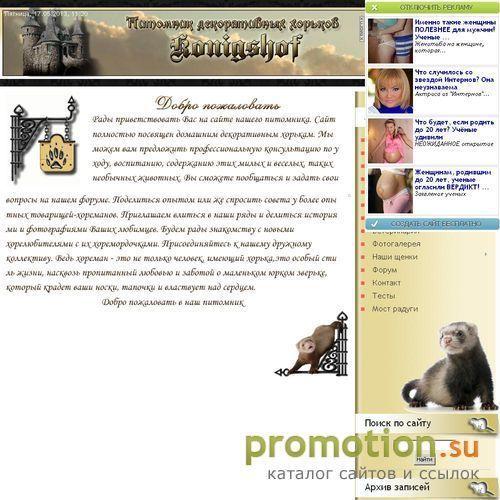 Архивное изображение: Продам щенков декоративного хорька