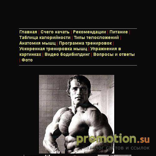 Архивное изображение: Бодибилдинг для начинающих