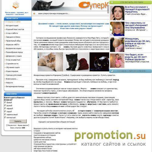 Архивное изображение: Суперкот