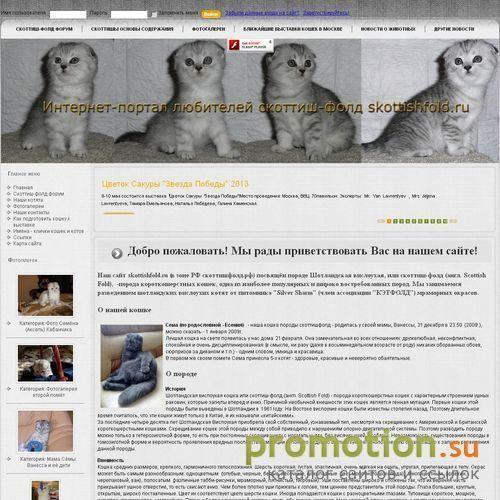 Архивное изображение: Сайт скоттиш-фолд