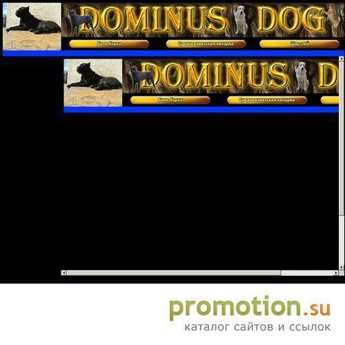Архивное изображение: КАНЕ КОРСО ПРОДАЖА ЩЕНКОВ.093 652-92-29 питомник