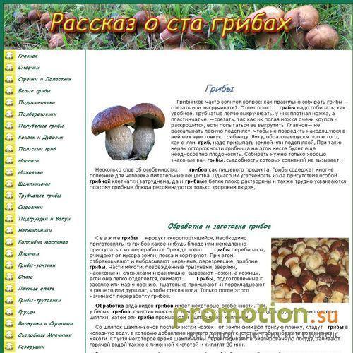 Архивное изображение: Волнушка и скрипица