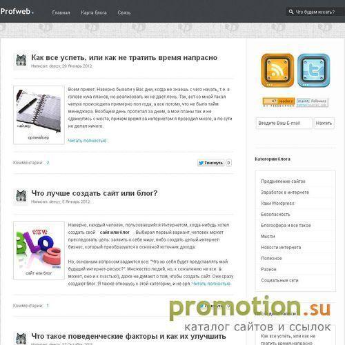 Архивное изображение: Profweb.org – скачать темы для wordpress,дизайн,ве