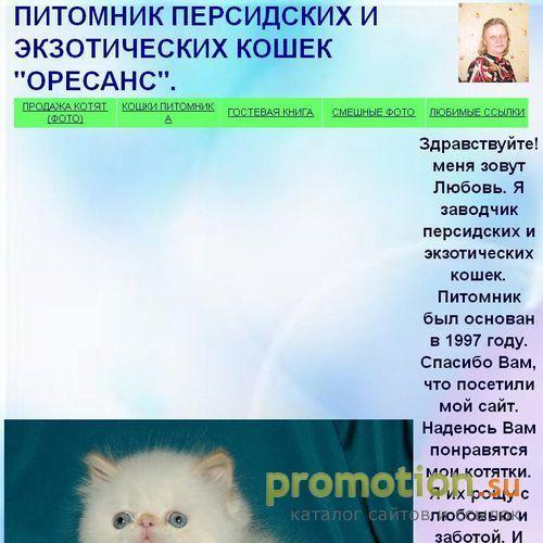 Архивное изображение: Питомник Оресанс продажа котят