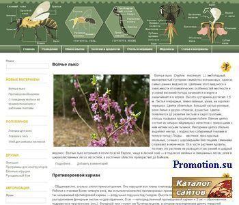Архивное изображение: beedon
