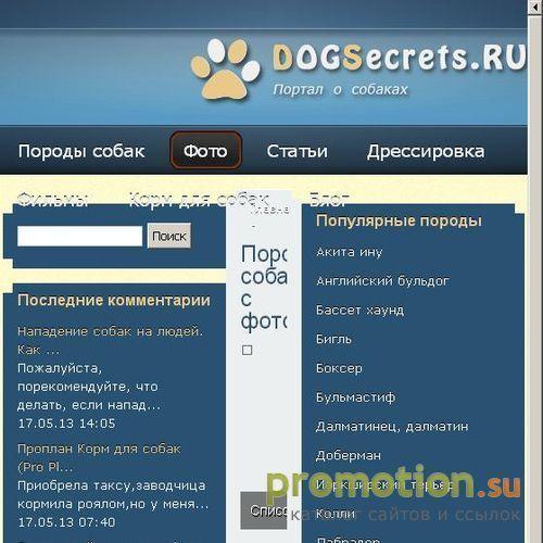 Архивное изображение: Дрессировка собак, породы собак с фото