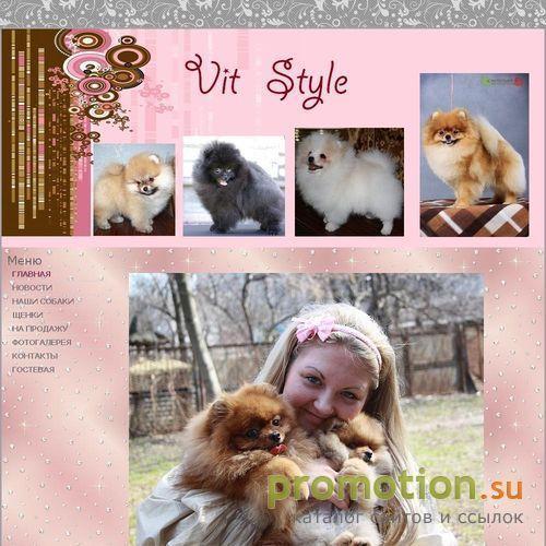 Архивное изображение: питомник шпицев Вит стаил ( Vit Style)