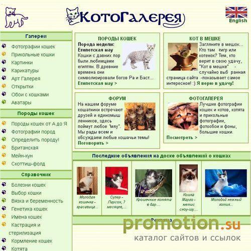Архивное изображение: КотоГалерея у Фелины: сайт о кошках и котах