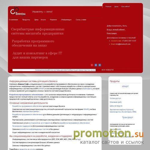 Архивное изображение: «Бином Софт» — разработка программного обеспечения