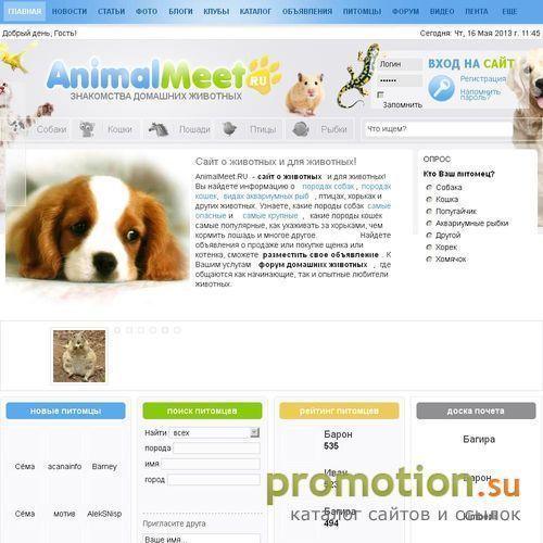 Архивное изображение: Знакомства домашних животных