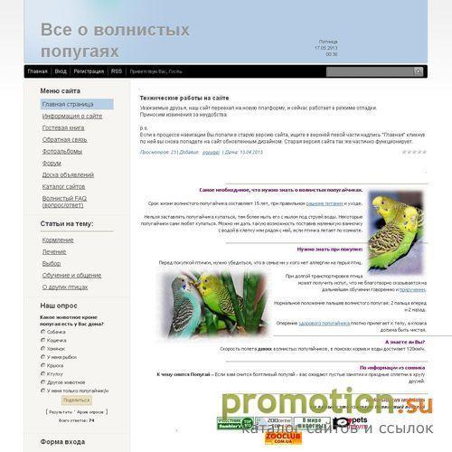 Архивное изображение: Все о волнистых попугайчиках