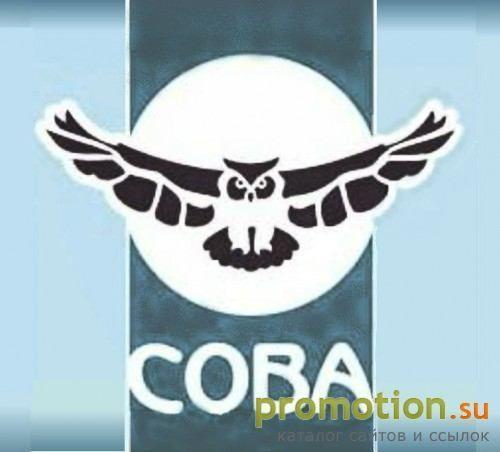 Архивное изображение: СОВА - группа предприятий безопасности