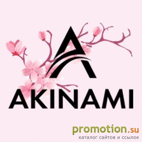 Архивное изображение: Интернет-магазин «AKINAMI.РОССИЯ»