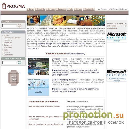 Архивное изображение: Chicago Web Site Design