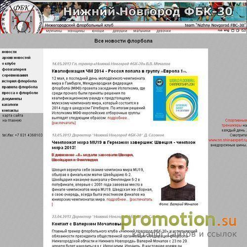 Архивное изображение: Флорбол спорт в Нижнем Новгороде