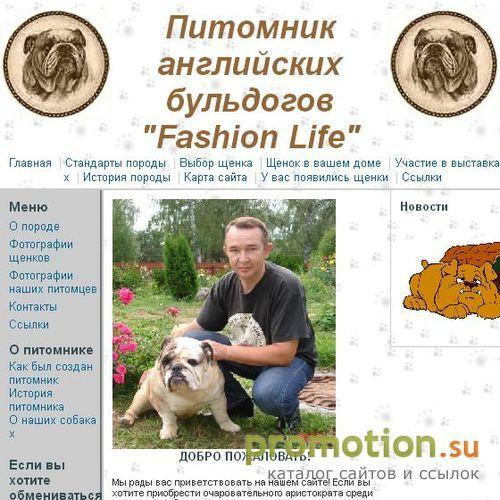 Архивное изображение: Английский бульдог, english bulldog