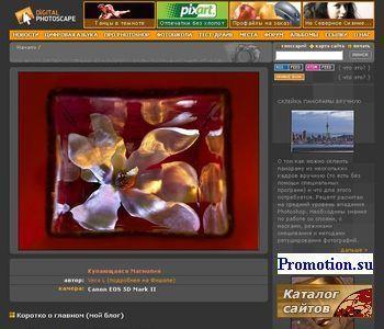 Архивное изображение: цифровая фотография