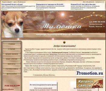 Архивное изображение: Малютка питомник чихуахуа, йоркшир