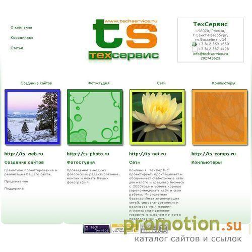 Архивное изображение: TechService - Услуги в области комп. технологий