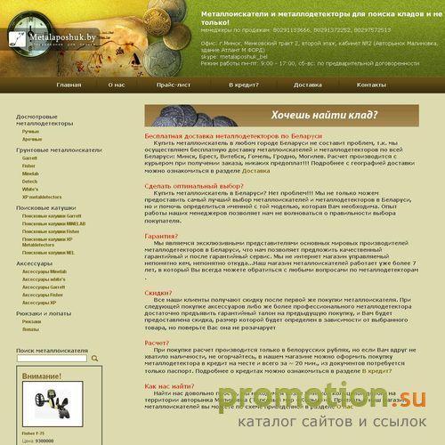 Архивное изображение: Металлоискатели и металлодетекторы