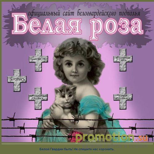 Архивное изображение: Белая Роза