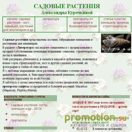 Архивное изображение: Фиалки, сенполии, фуксии: сад в вашем доме