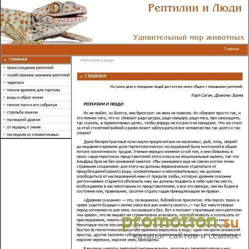 Архивное изображение: Ящерицы