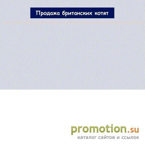 Архивное изображение: Британские кошки. Питомник Андромеда