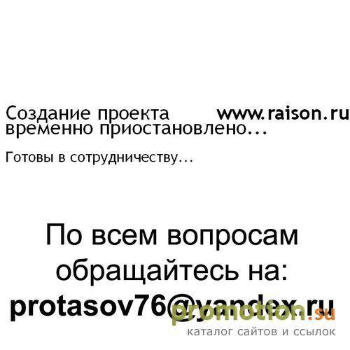Архивное изображение: RAISON Interactive